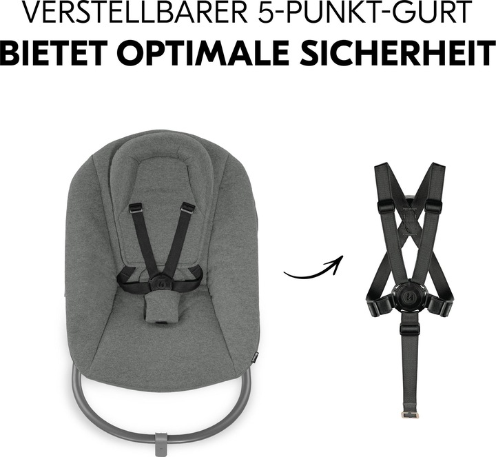 Produktbild Hauck Alpha Bouncer