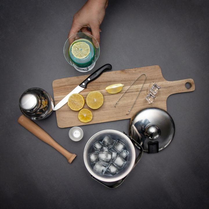 Immagine prodotto Intirilife Set di secchielli per il ghiaccio da 4 pezzi