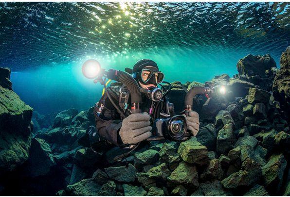 Image du produit Sealife Flex & Connect Flex Arm