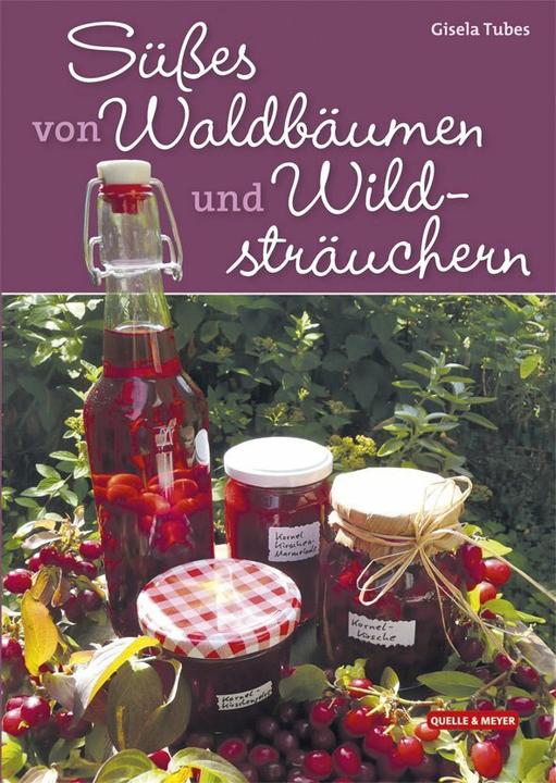 Produktbild Süsses von Waldbäumen und Wildsträuchern (Deutsch, Gisela Tubes, 2014)