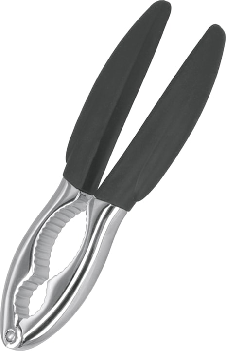 Actual product image Metaltex Synthesy nutcracker