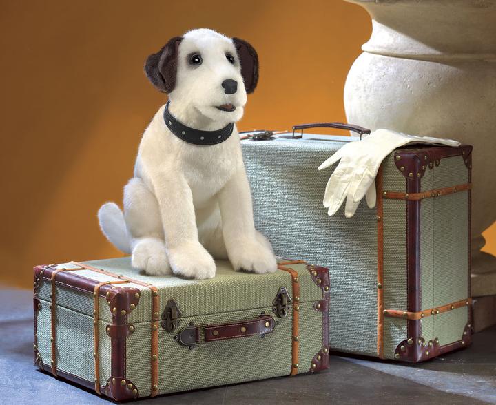 Actual product image Folkmanis Terrier, sitting