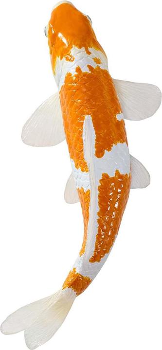 Produktbild Mojo Sealife Koi-Karpfen – Ochiba Shigure Koi – 381104