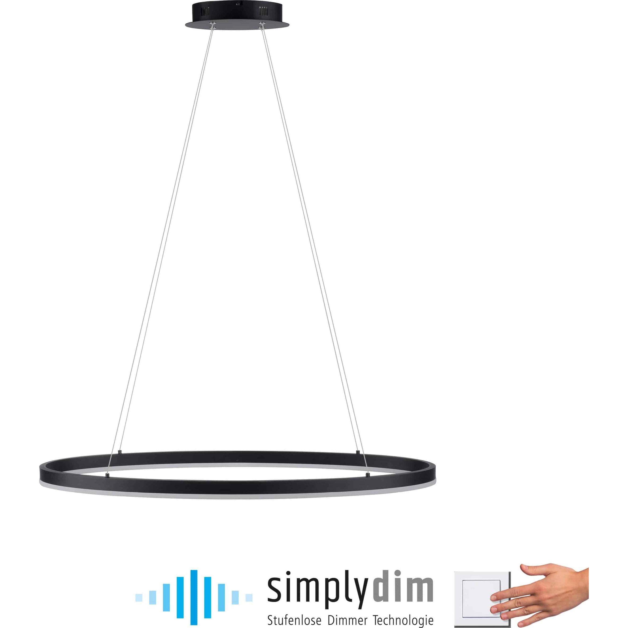 Thumbnail - Paul Neuhaus, Pendelleuchte, Titus (5150 lm)