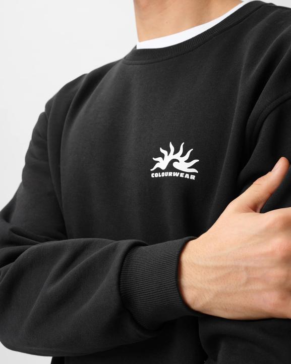 Image du produit Colourwear M Da Crew (L)