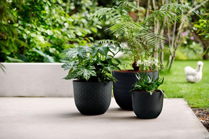 Produktbild Elho Fuente Rings (46.40 x 38.30 cm)