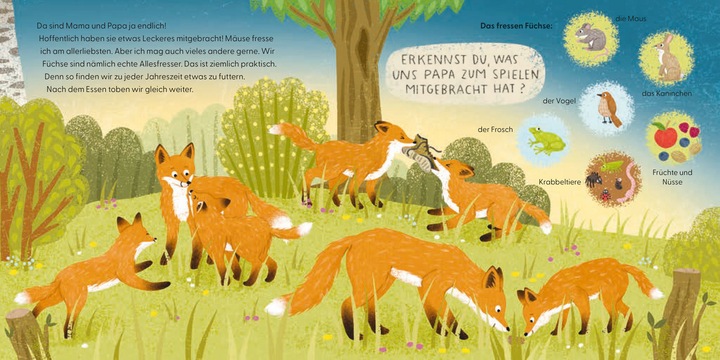 Produktbild Kennst du mich? Ich bin ein Fuchs! (Deutsch)