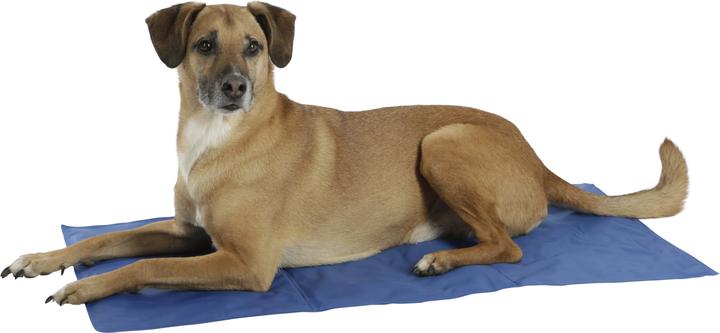 Produktbild Kerbl Kühlmatte (Hund)