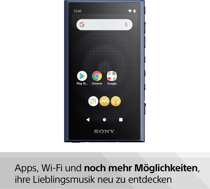 Image du produit Sony NW-A306 (18 Go)