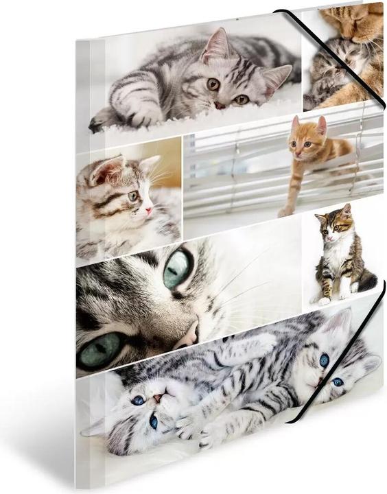 Image du produit HERMA Porte-documents A3 Motif (A4, 1x)