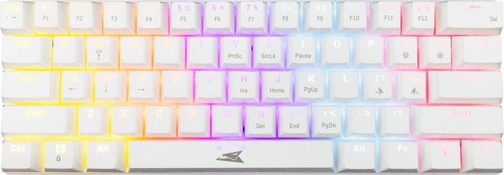 Baracuda BGK-03221 Dolphin Weiss US Mechanische Blaue Schalter (US, Cablato)