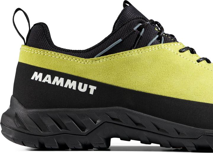 Produktbild Mammut Alnasca IV Low LTH Men (40)
