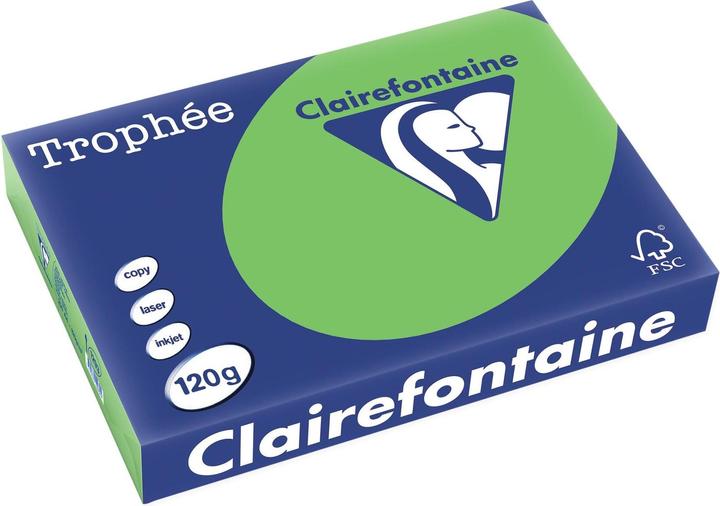 Immagine prodotto Clairefontaine Trophée Copia Colorata FSC A4, 120 gm², Verde Intenso (120 g/m², A4)