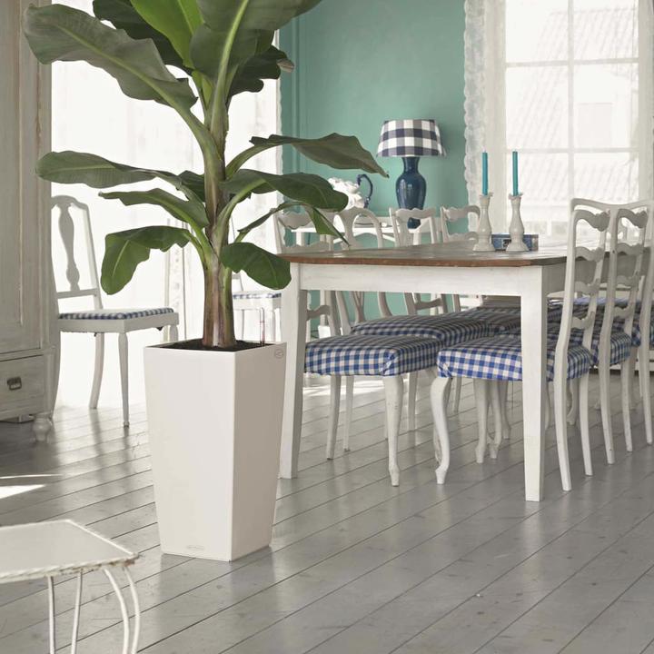 Produktbild Lechuza Cubico Color (29.50 cm)