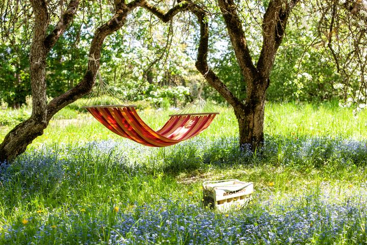 Image du produit Mölkky Jeu Viking Original (2 Joueur)