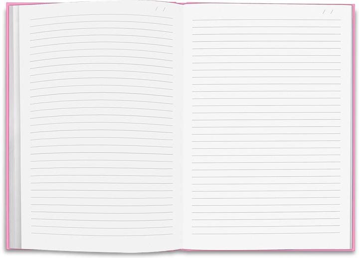 Image du produit Caran d'Ache Carnet ligné A5 - rose (A5, À rayures, Couverture rigide)