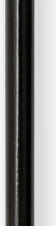 Produktbild Zebco Bank Stick