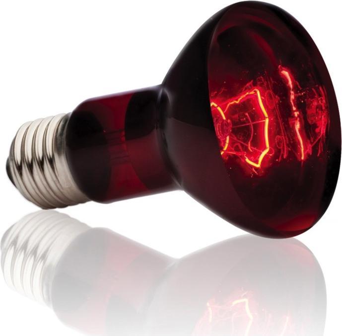 Actual product image Exo Terra Infrared Basking Spot R30/150W (UVB, UVA)