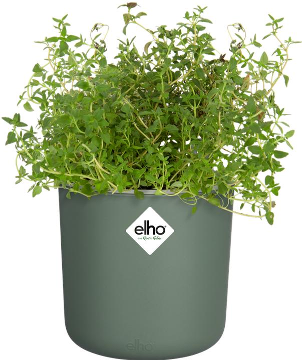 Produktbild Elho Happy Herbs (15 x 17 cm)