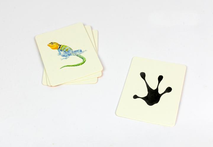 Productafbeelding Geheugen Geheugen Op het spoor van wilde dieren (Duits, 1 - 2 Spelers)