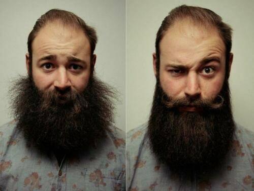 Image du produit Havetime Lisseurs électriques pour barbe et cheveux