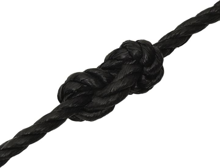 Image du produit vidaXL Seil (100 m)