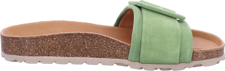 Image du produit Verbenas REIKO 3304020 Kelp (40)