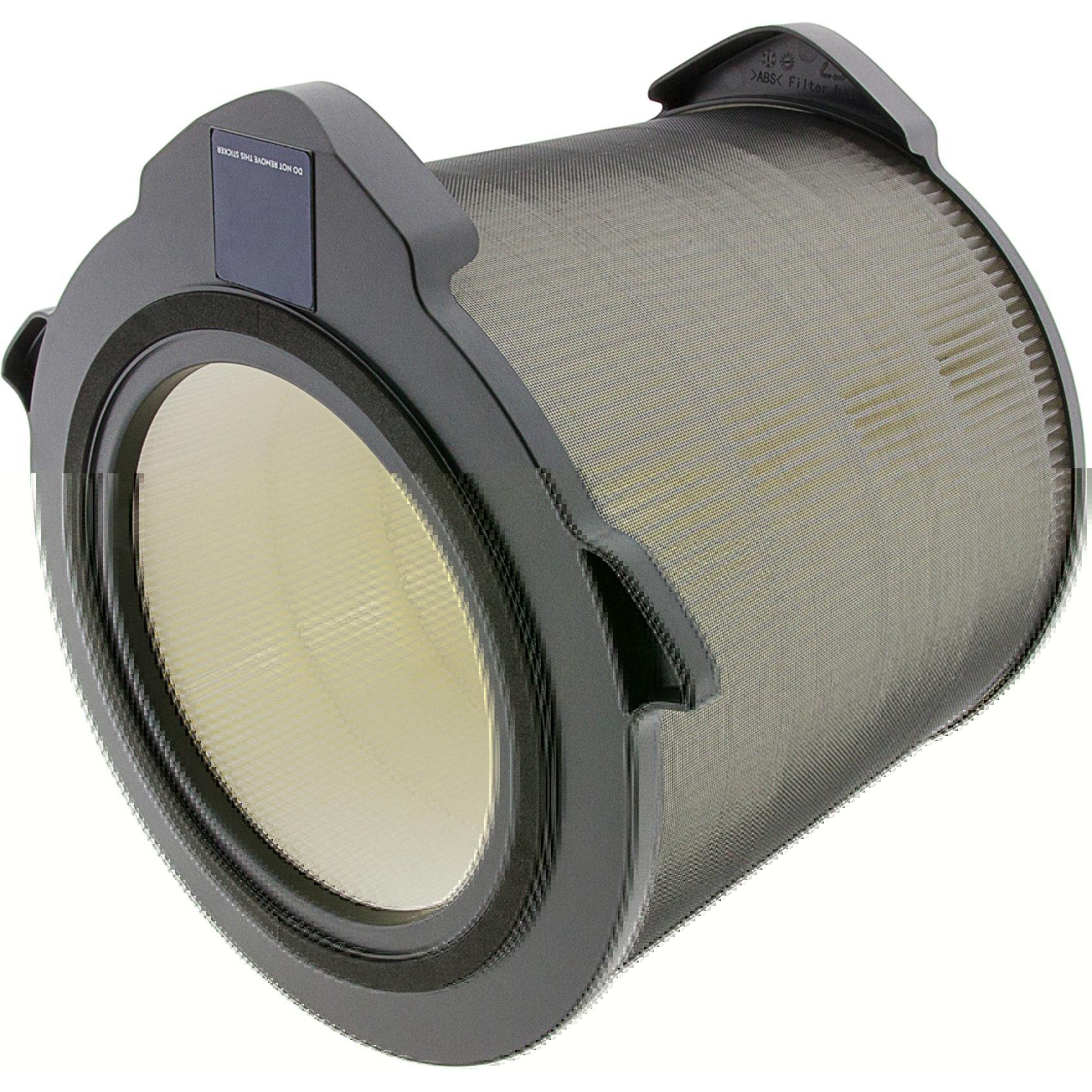 Flickbee Filtro per Electrolux Pure A9- sostituisce EFDCAR4, Accessori trattamento dell'aria