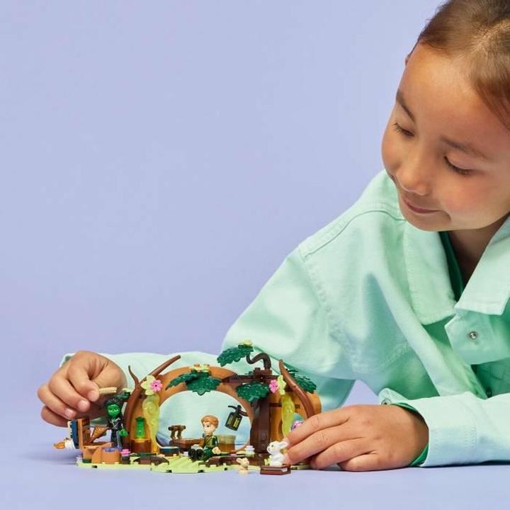 Actual product image LEGO Elphaba's hiding place (LEGO Wicked)