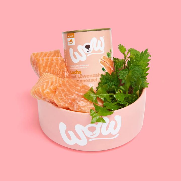 Image du produit WOW Adult, saumon avec tomate (Adulte, 1 pcs, 400 g)