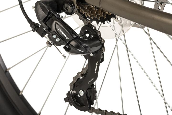 Actual product image Wyld Mountainbike Hardtail 29" Sharp Scheibenbremse platin-grau 21 Gänge (46 cm)