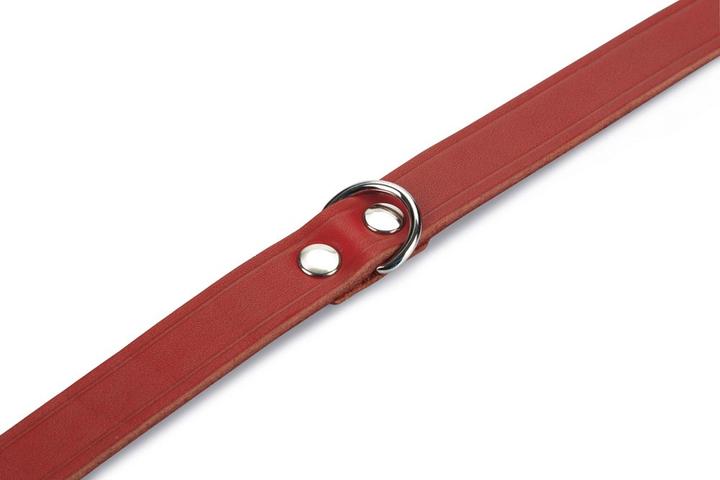 Produktbild Beeztees BZ LEDERHALSBAND ROT 52X20 (Hund, Allgemein)