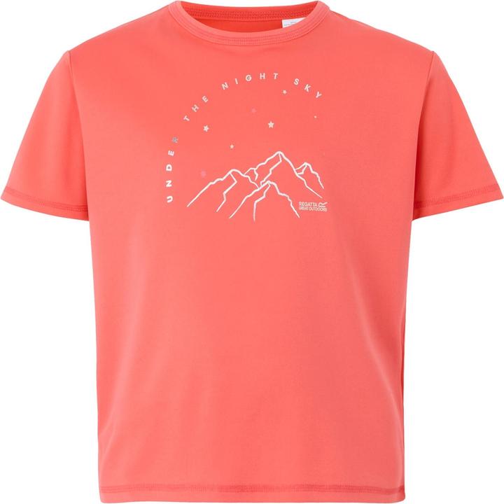 Produktbild Regatta Alvarado IX TShirt (116)