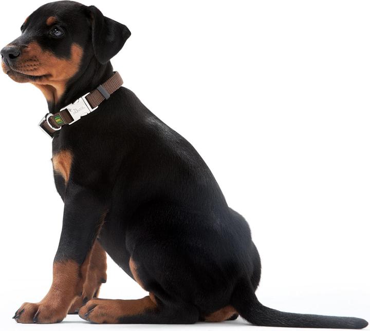 Produktbild Hunter Vario Basic Alu-Strong (L, Hund, Allgemein)