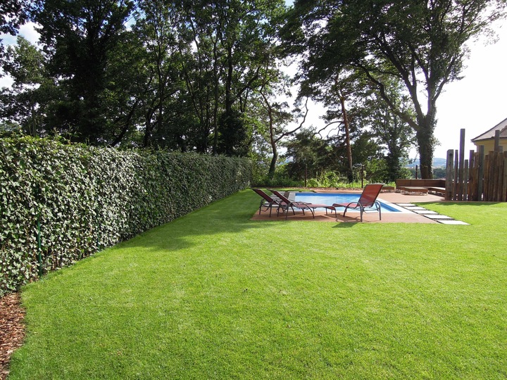 Actual product image Mobilane Hedge (100 cm)