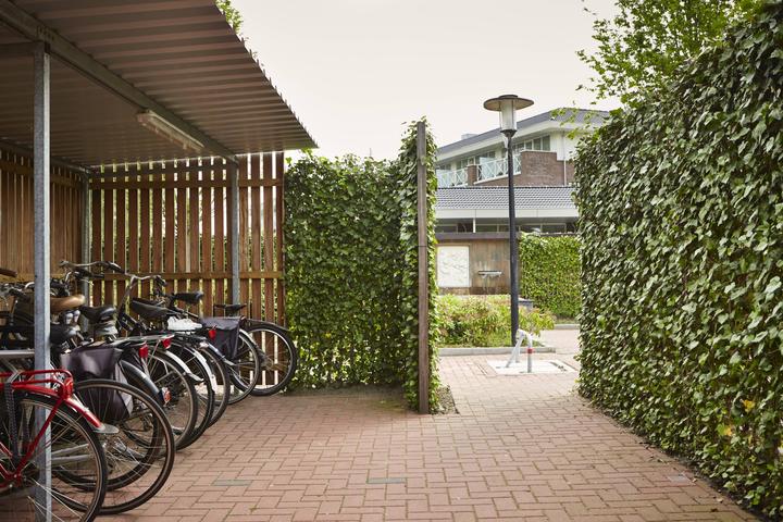 Produktbild Mobilane Hecke (180 cm)