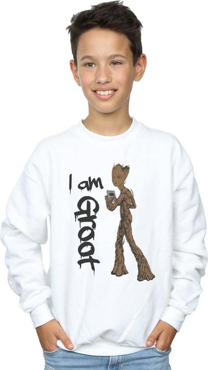 Produktbild Avengers Infinity War Graffiti Groot Sweatshirt Jungen (116)