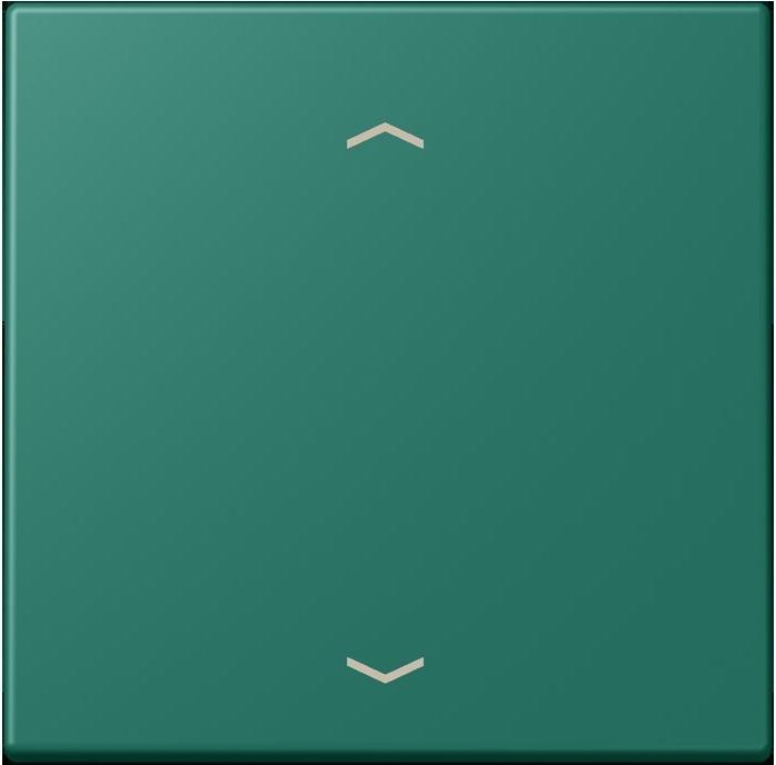 Produktbild JUNG Wippe 1fach m. Pfeilsymb.