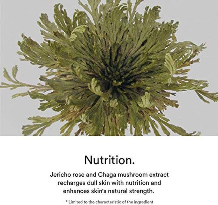 Actual product image Abib Jericho Rose Creme Nutrition Tube (75 ml)