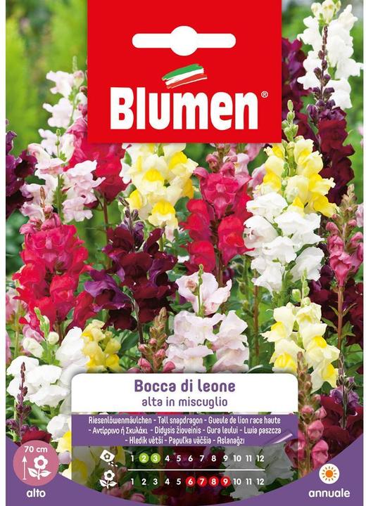 Immagine prodotto Blumen Miscela di semi di snapdragon gigante (Semi di fiori)