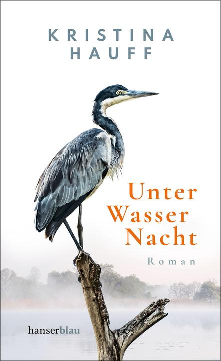 Hanserblau Unter Wasser Nacht (Deutsch, Kristina Hauff, 2021)