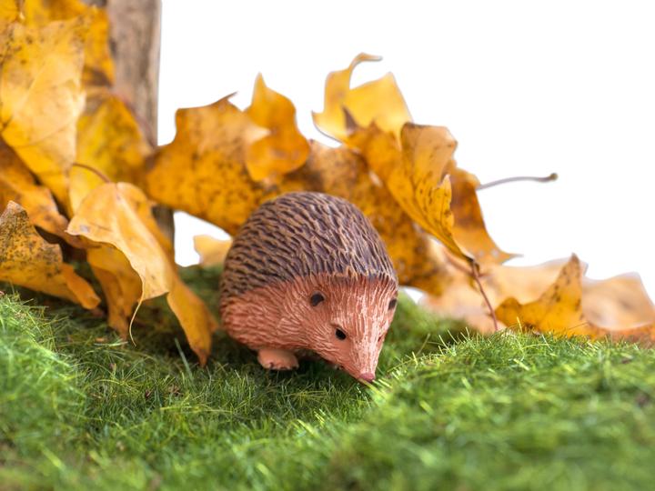 Image du produit Betzold Animaux de la forêt