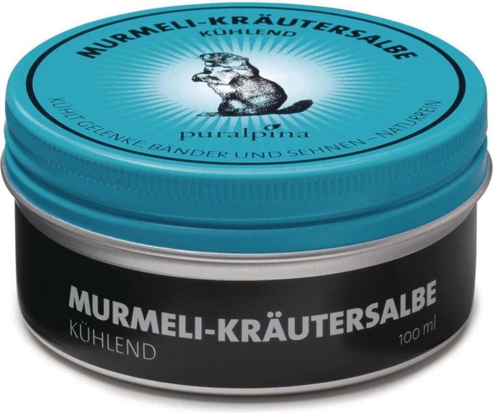 Puralpina Pommade aux herbes Murmeli (1 x, 100 ml, 110 g)