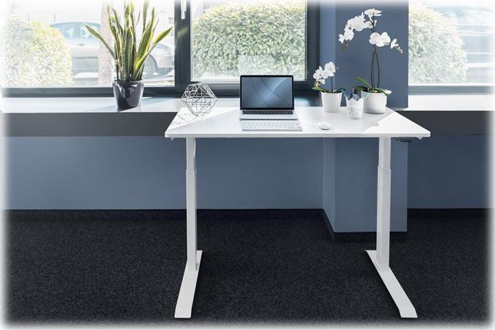 Image du produit Digitus Bureau électrique réglable en hauteur (120 x 60 x 123 cm)