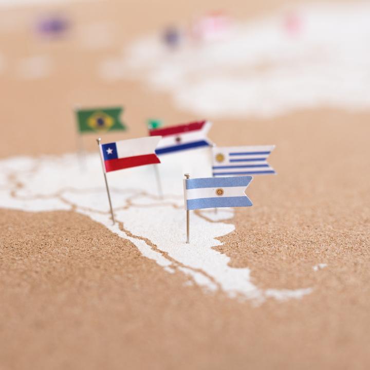 Actual product image Miss wood Flags - America