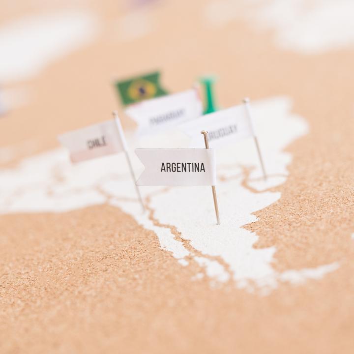 Actual product image Miss wood Flags - America