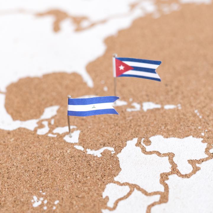 Actual product image Miss wood Flags - America