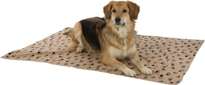 Image du produit Kerbl Stella (Chien)