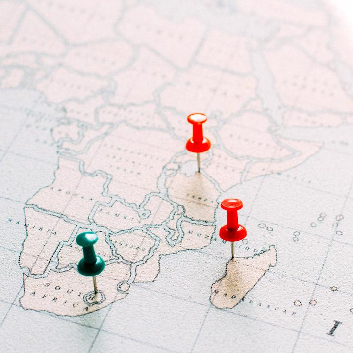 Image du produit Miss wood Carte boisée - Aquarelle - L - Vintage (Planisphère, Tableau d'affichage, 60 x 45 cm)