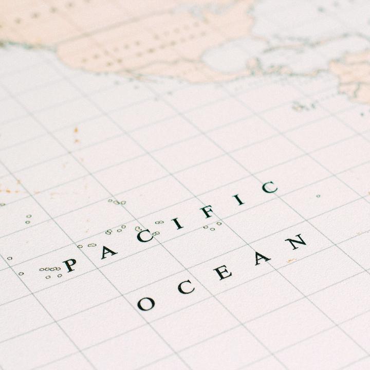 Image du produit Miss wood Carte boisée - Aquarelle - L - Vintage (Planisphère, Tableau d'affichage, 60 x 45 cm)